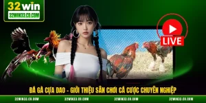 đá gà cựa dao